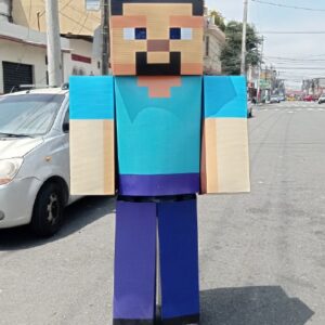 STEVE MINECRAFT