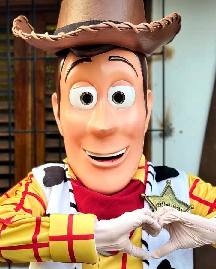 WOODY ( TOY STORY). - Imagen 5